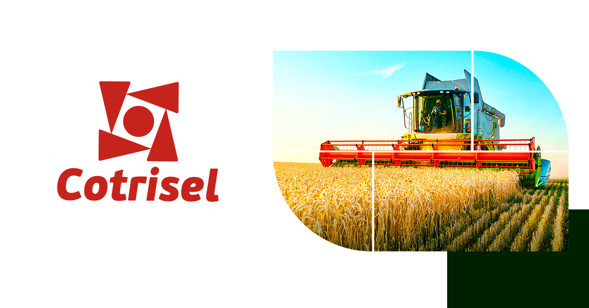 Cotrisel Cooperativa Trit cola Sepeense Contato
